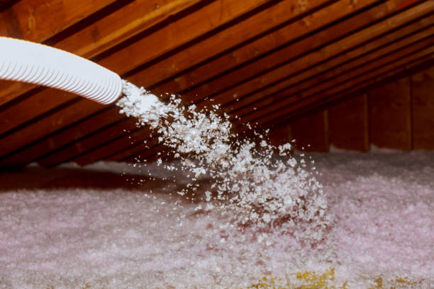 Best Residential Insulation Services  in Lakewood Ranch, FL